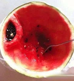 热门大瓜每日必吃大瓜 暗黑爆料在线吃,暗黑爆料，每日大瓜新鲜出炉